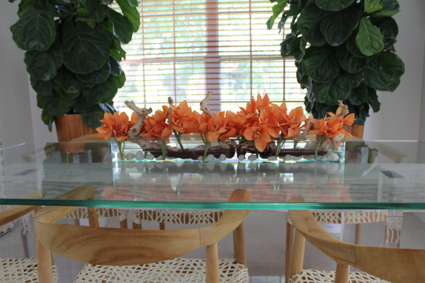 36" Casa Moderna glass plate planter with orange Cymbidium orchids