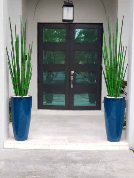 Snake grass (63") with Dax L planter in dark teal