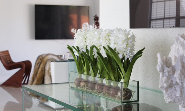 36" Casa Moderna glass plate planter with white hyacinths