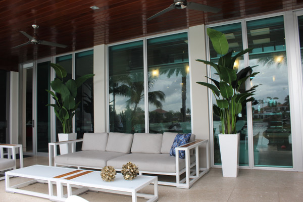 9 ft Bird of Paradise with Medium Beau Planter in Glossy White