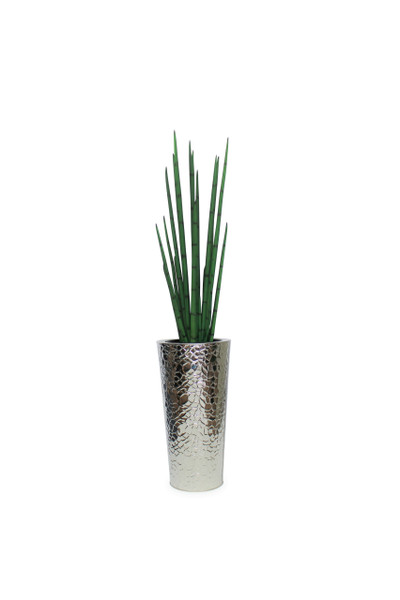 Silver Hammered Stainless Steel Tapered Cone with Medium Snake Grass Plant