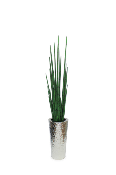 Silver Hammered Stainless Steel Tapered Cone with Large Snake Grass Plant