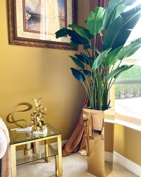 Gold Cube Planter with Bird of Paradise (7')