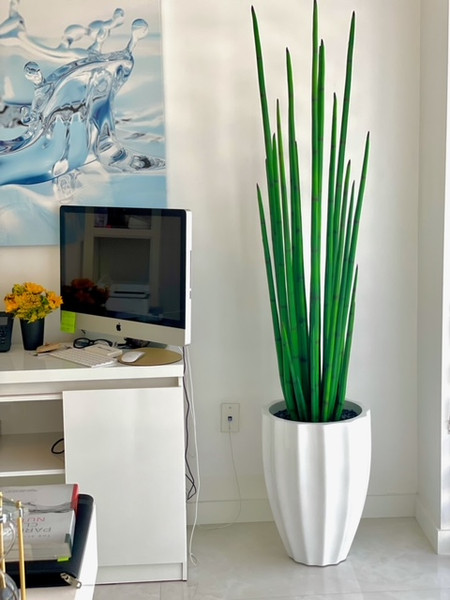 Alicante Planter in Glossy White with Snake Grass (63")
