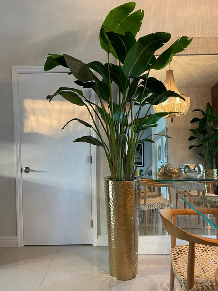 Gold Hammered Planter with Bird of Paradise (7')