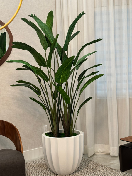 Santa Barbara Planter with Bird of Paradise