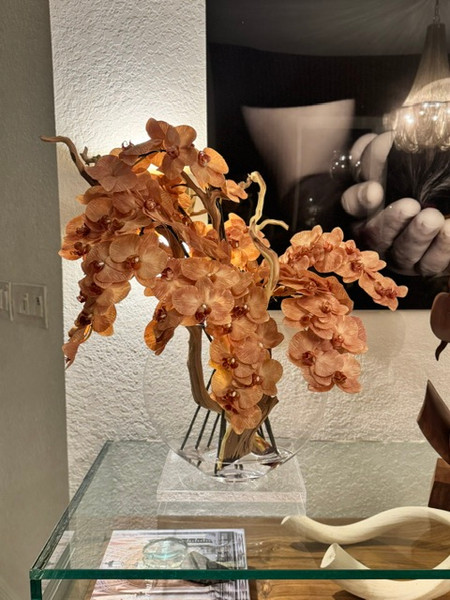 16" Glass Moon Vase with Light Brown Orchids and Driftwood