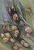 Sheri L Vincent Crisp