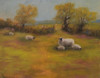 Marilyn Farnsworth Wendling