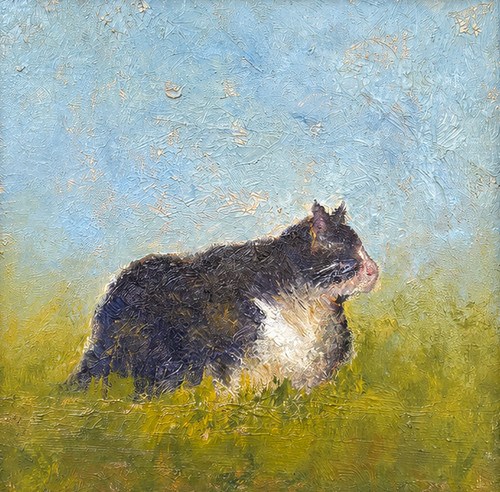 "Original 10x12 square impressionist oil painting titled It's a Prrrrrfect Day by Marilyn Farnsworth Wendling, showing a fluffy black and white cat in tall grass."