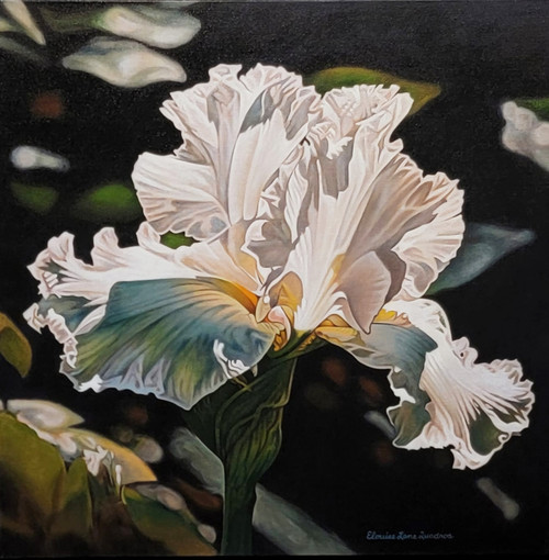 "Show Girl" - 24" x 24"  Oil on Canvas