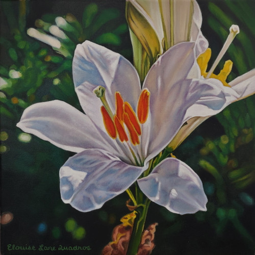 "Lily in the Light" - 12" x 12" Oil on Canvas