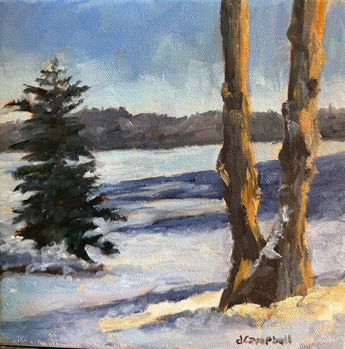 "Morning Shadow" - 8" x 8" Oil on Canvas