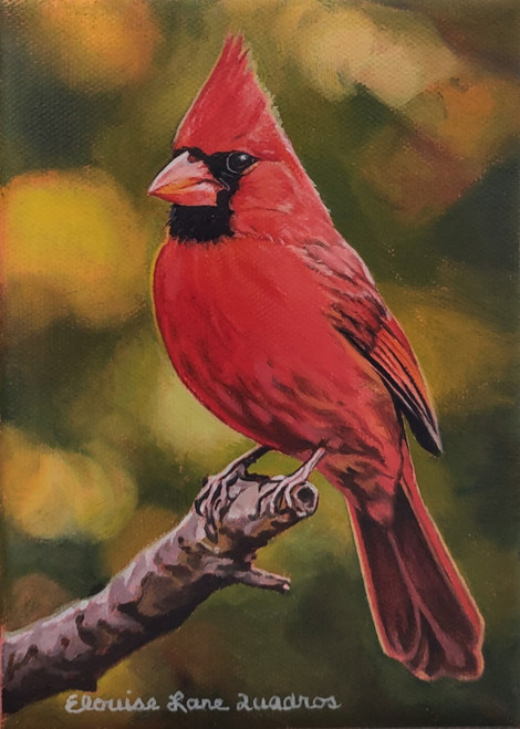 "Northern Male Cardinal" - 5" x 7" Oil on Canvas