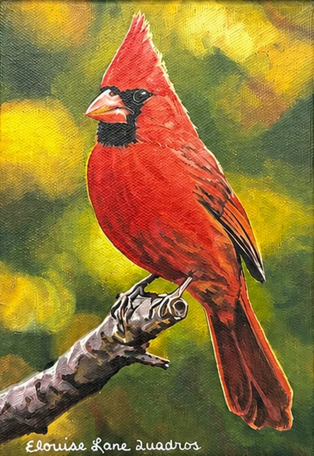 "Original 5x7 oil on canvas painting of a brilliant red male Northern Cardinal perched on a thick textured branch, painted by Elouise Lane Quadros for Go Native Gallery."
