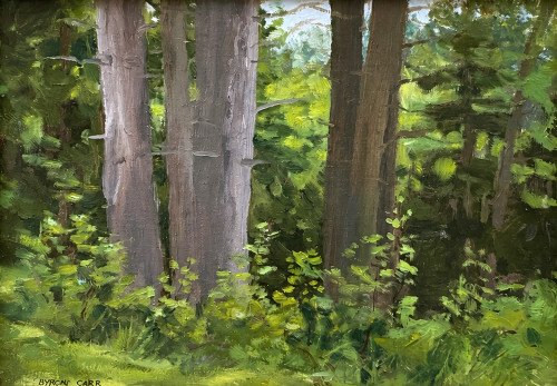 Horizontal impressionist oil painting of large silver tree trunks and bright green bushes catching sunlight in a dense forest by Byron Carr