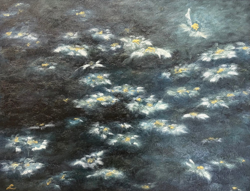 Dark oil painting of white daisy flowers floating on a midnight-blue surface, with gold centers, by Laurie Weston.