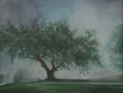 "Apple Tree" - 14" x 18" Oil on Canvas