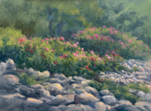"Beach Roses and Rocks" - 9" x 12" Oil on Canvas