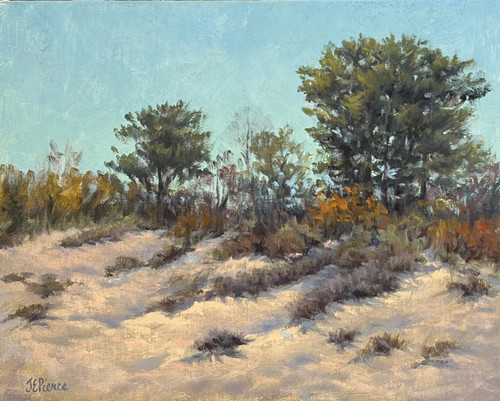 "Dunes at Plum Island" - 8" x 10" Oil on Canvas