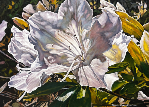 "Dancing Azaleas" - 12" x 16" - Oil on Canvas
