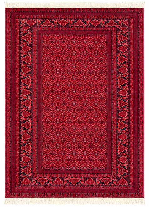 4x6 Hand-Knotted Tribal Khal Mohammadi Carpet