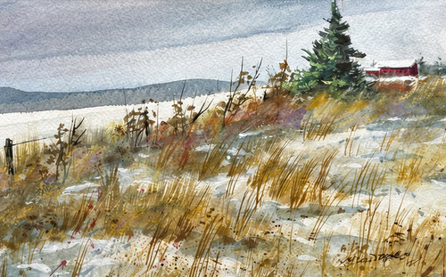 Horizontal watercolor painting of a golden field with snow patches leading to a green pine tree and red barn under a gray winter sky by Mike Driscoll