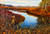 Large horizontal impressionist oil landscape painting on a metallic aluminum panel of a blue river winding through red and orange autumn marsh grass by Gayle Bowen.