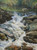 "Summer Brook After Rain" - 9' x  12" Oil on Linen