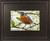 "Original 5x7 oil on canvas painting of an American Robin with a rich orange breast perched on a branch, painted by Elouise Lane Quadros for Go Native Gallery."