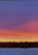 Small vertical oil painting of a purple, pink, and yellow sunset sky over a dark pine forest silhouette and blue snow by Grace Cooper.