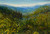 Oil on aluminum painting of a misty blue mountain valley view through green foreground grasses by Gayle Bowen.
