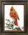 "Original 9x12 oil on canvas painting titled Snow Queen by Elouise Lane Quadros, depicting a majestic female Northern Cardinal perched on a snow-covered evergreen bough."