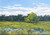 "Original 6x8 horizontal oil on canvas landscape painting titled Marsh View by Jeanne Pierce, depicting a bright golden New England marsh field with standing water pools under a soft sky."