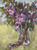 "Lilac Fever" - 12" x 9" Oil on Linen