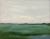 Oil painting of two small birds flying over a lush green marsh field under a cloudy grey sky by Laurie Weston.