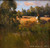 "Original 5x5 square oil on Masonite painting titled Afternoon Stroll by Monique Sakellarios, showing a sun-drenched meadow with thick, swirling impasto brushmarks."