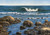 "Original 24x36 large horizontal oil on canvas seascape painting titled Bluebird Day by Jeanne Pierce, showing rolling blue ocean waves crashing over a rocky New England shore under a clear sky."