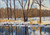 Horizontal impressionist oil painting of bare winter trees reflecting in a blue river with snow on the banks by Debbie Campbell.
