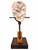 Vertical three-quarter view of contemporary mixed media sculpture 'Back in the Saddle' featuring a pink and white red raspberry alabaster stone balanced on a rustic iron hinge on a walnut base by Rebecca Robinson.