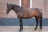 Lunging rein aid, soft - by Harry's Horse - Pink