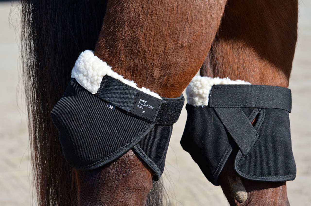 Hock wraps sales for horses