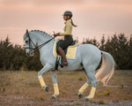     ES - SOFT LEMON - Dressage Saddle Pad  - COB