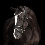 LUMIERE - 'ANASTASIA' LEATHER BRIDLE (CONVERTIBLE) BLACK- INCL NAPPA REINS