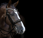 LUMIERE - DOUBLE BRIDLE - 'ATHENS' LUXURY LEATHER BRIDLE - BLACK