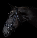 LUMIERE - 'ARIANA' BRIDLE CAVESSON) (PREMIUM SNAFFLE) - INCL NAPPA REINS