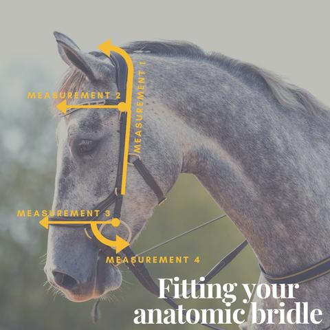 fitting-an-anatomic-bridle-2-large.jpg