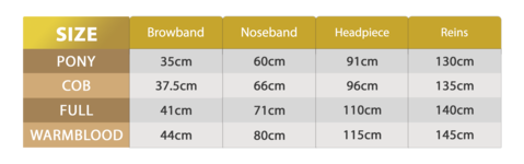 standard-size-chart-large.png