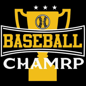 (2 Qty) Baseball Chamrp DTF transfer