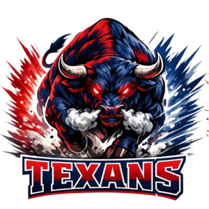(2 Qty) Bull Texans DTF transfer